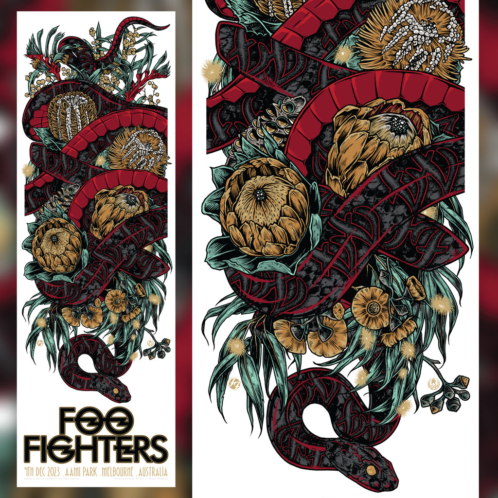 Foo Fighters. Melb, 1st nite